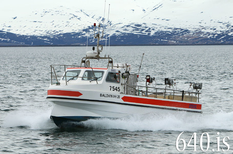 Baldvin H 20