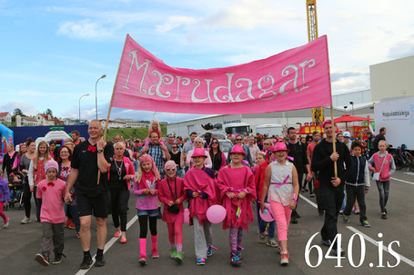 Mrudagar 2014
