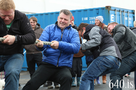 Sjmannadagurinn 2014