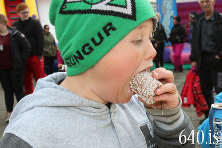 Sjmannadagurinn 2014