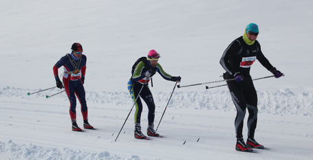 Kristbjrn, Birkir og Gsli