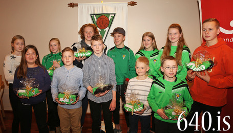 Hvatningaverlaun 2015