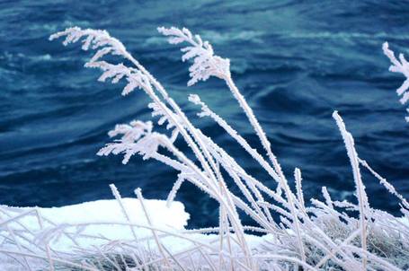 Frostmyndir