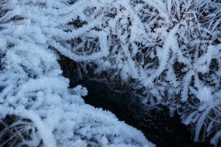 Frostmyndir