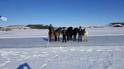 Mývatn Open