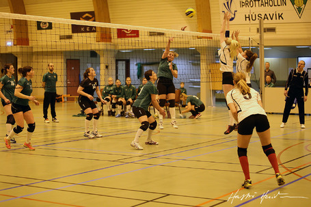 Blakveisla  hllinni