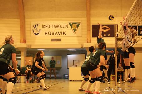 Blakveisla  hllinni