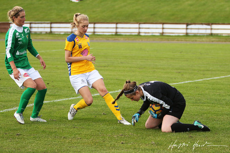 Vlsungur Fjlnir 2-2