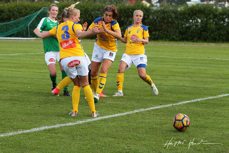 Vlsungur Fjlnir 2-2