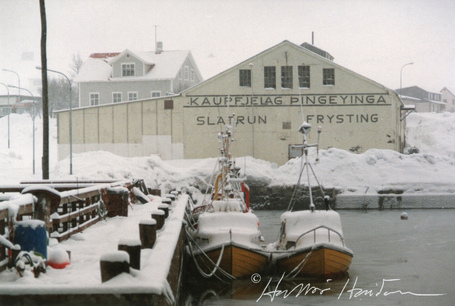 Slaturhus