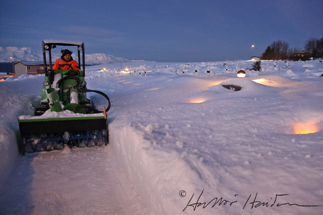 Ljsmynd Hafr - 640.is