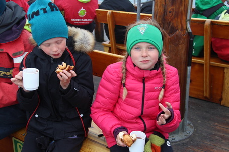 Norursigling