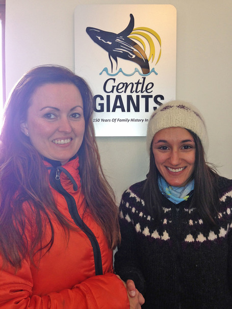 Gentle Giants
