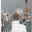 wilson_husavik.jpg