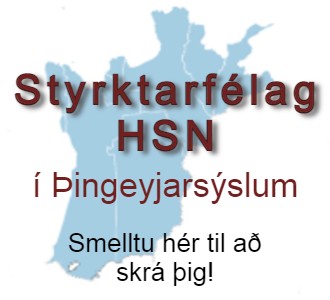 Styrktarflag H